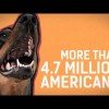 Dog Bites and Home Insurance Claims